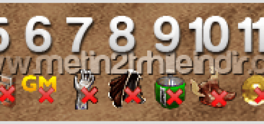 Metin2 TR KaMeR1337 Mod Hilesi Menü Anlamları