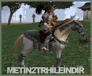 Metin2 TR Yeni Horse At Üzerinde 7x Hilesi indir