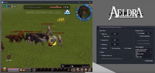 Aeldra Mt2 MultiHack