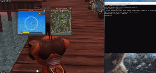 Metin2 Yeni Sistem Balık Botu HamsiLooter Hilesi indir