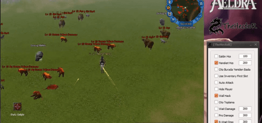 Aeldra New MultiHack 7x Pro Damage Hilesi