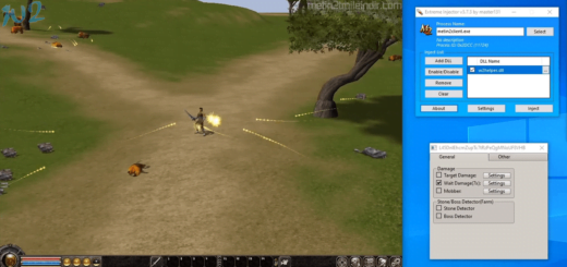 Metin2 GF Ücretsiz Multihack: w2helper